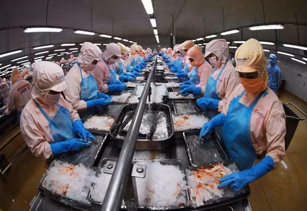 Tay Ninh supports firms to resume post-pandemic production ảnh 1