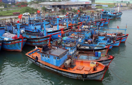 Fishing fleet in Thanh Hoa boosts capacity ảnh 1 Fishing fleet in Thanh Hoa boosts capacity ảnh 1