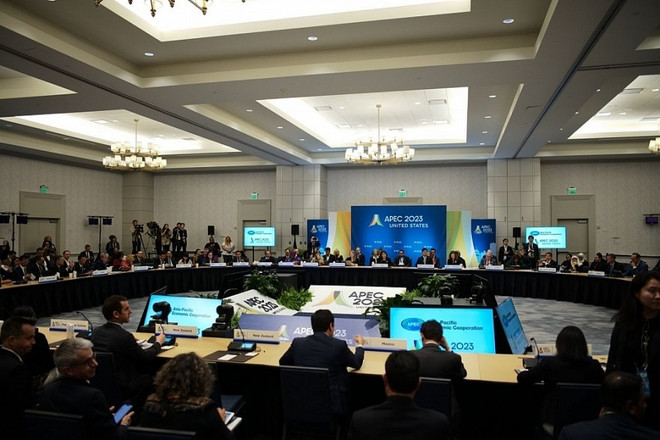 APEC should work for WTO's better performance: Minister ảnh 1