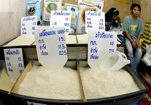 Thailand’s rice exports near 3 million tonnes over four months ảnh 1