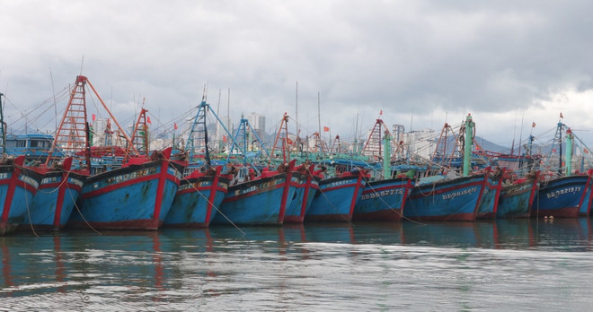 Vietnam Fisheries Trade Union raises fishermen's awarness on combatting IUU fishing ảnh 1 Vietnam Fisheries Trade Union raises fishermen's awarness on combatting IUU fishing ảnh 1