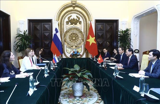 Foreign Minister holds talks with visiting Slovenian official ảnh 2