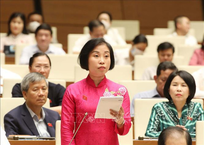 Maintain ceiling price for airfares important: NA deputies ảnh 1 Maintain ceiling price for airfares important: NA deputies ảnh 1