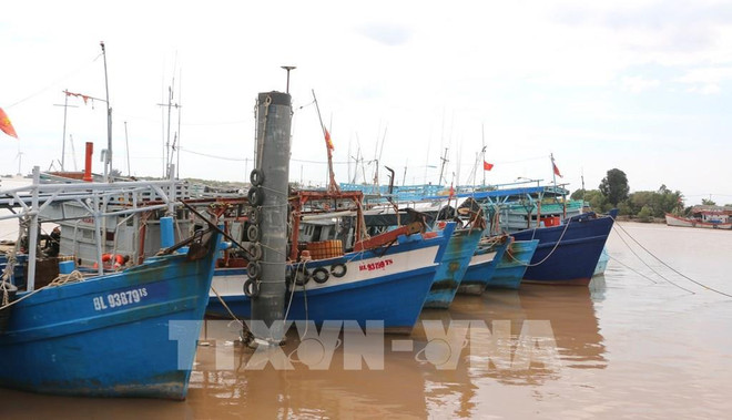Thanh Hoa strictly monitors vessels to fight IUU fishing ảnh 1 Thanh Hoa strictly monitors vessels to fight IUU fishing ảnh 1