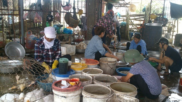 Thanh Hoa rife with illegal slaughterhouses ảnh 1 Thanh Hoa rife with illegal slaughterhouses ảnh 1