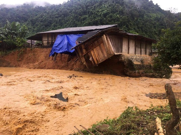 Joint efforts made to support flood victims ảnh 1