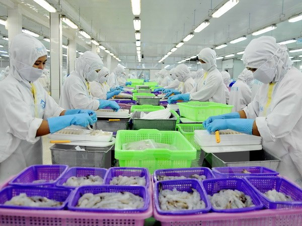 UK tops importers of Vietnam’s prawn in EU in 2016 ảnh 1
