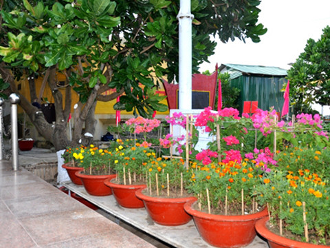 Vo Nguyen Giap Park inaugurated in Truong Sa ảnh 1 Vo Nguyen Giap Park inaugurated in Truong Sa ảnh 1