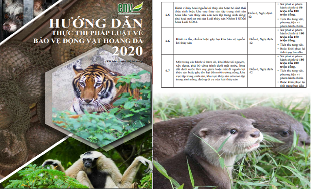 Organisation re-releases key wildlife-related law enforcement guidance ảnh 1