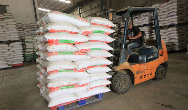 Cambodia’s rice exports up over 13% in eight months ảnh 1 Cambodia’s rice exports up over 13% in eight months ảnh 1