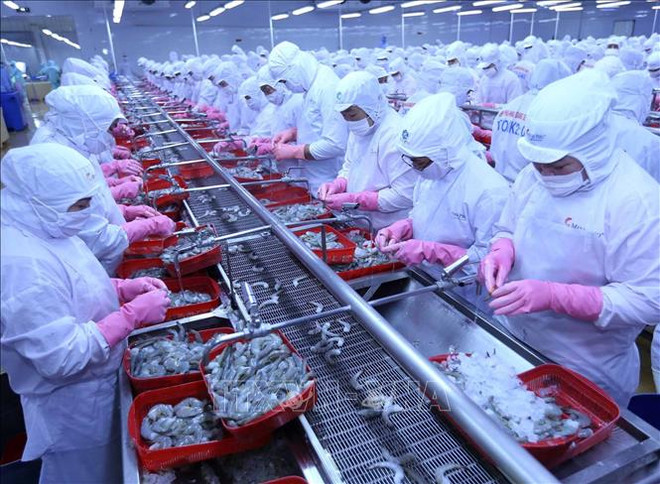 Vietnam’s aquatic exports to Russia record strong rebound ảnh 1