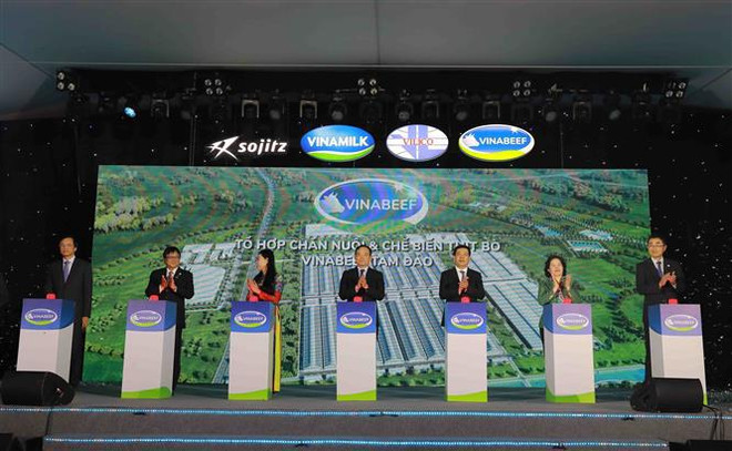 Vinabeef Tam Dao livestock, beef processing complex project launched ảnh 1