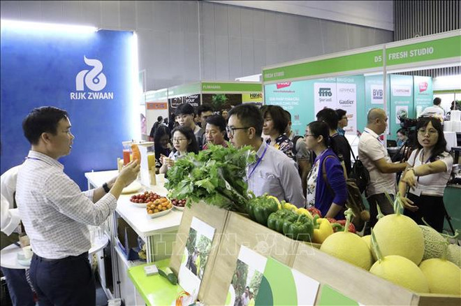 Horticultural expo draws in over 200 brands ảnh 1 Horticultural expo draws in over 200 brands ảnh 1