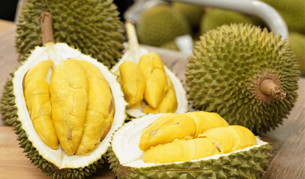 China approves 246 Vietnamese durian growing area codes ảnh 1