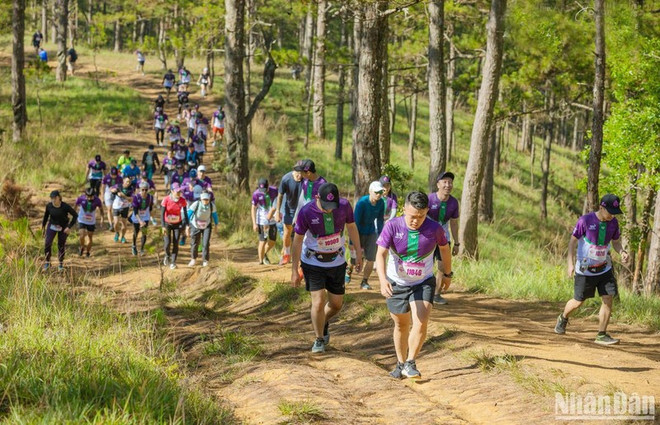 7,000 runners to join Dalat Ultra Trail 2023 ảnh 1 7,000 runners to join Dalat Ultra Trail 2023 ảnh 1