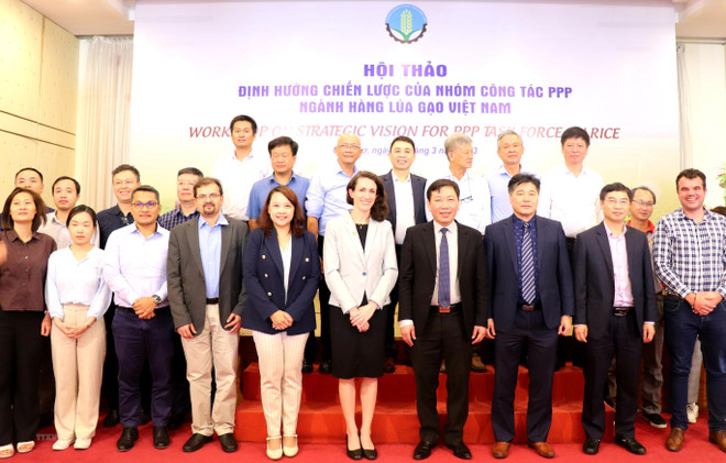 Public private partnership task force on rice established ảnh 1 Public private partnership task force on rice established ảnh 1