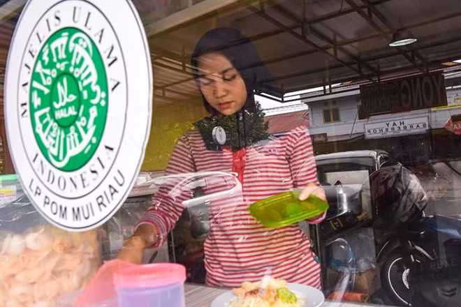 Indonesia’s halal product export potential hits 3.6 billion USD ảnh 1
