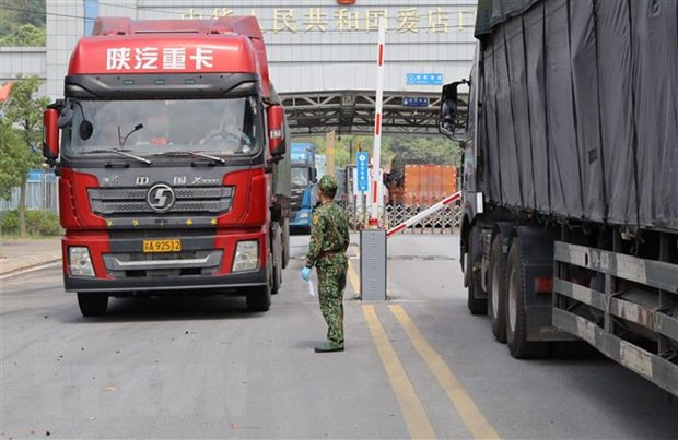 Fruit exports to China cleared earlier than expected ảnh 1 Fruit exports to China cleared earlier than expected ảnh 1