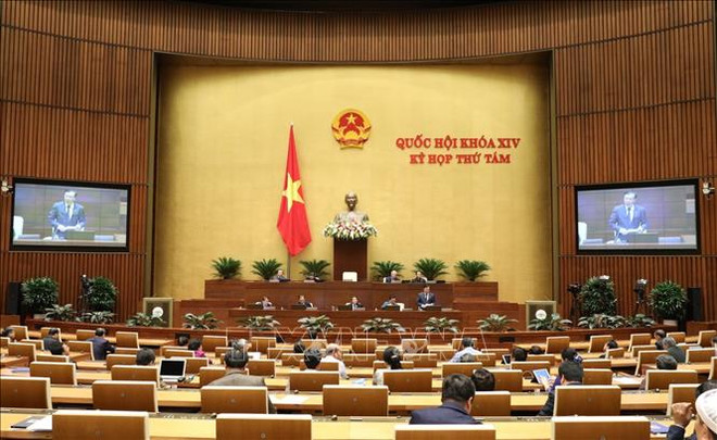 National Assembly adopts resolution on 2020 State budget allocation ảnh 1