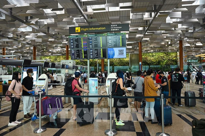 Singapore to roll out passport-free clearance at checkpoints next year ảnh 1