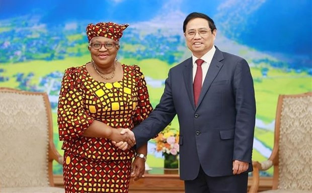 WTO Director-General’s visit reflects significant attention to Vietnam’s development: official ảnh 2