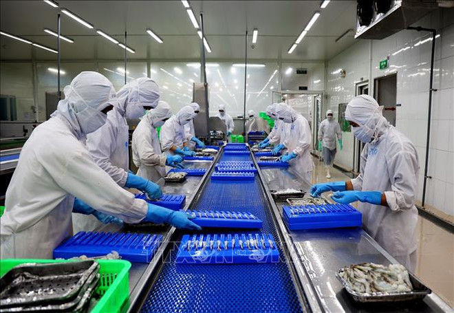 Vietnam’s agricultural sector posts record high growth in 2022 ảnh 1 Vietnam’s agricultural sector posts record high growth in 2022 ảnh 1