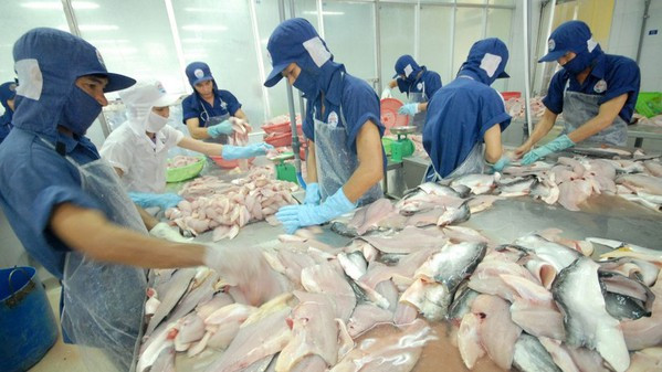 Strong growth recorded in tra fish exports to ASEAN markets ảnh 1