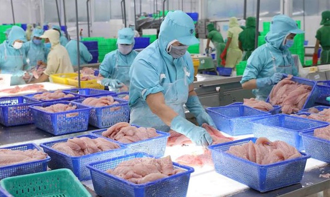 Export value of aquatic products up 38% in nine months ảnh 1 Export value of aquatic products up 38% in nine months ảnh 1