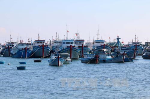 Tra Vinh, Ben Tre develop sea-based economy ảnh 3