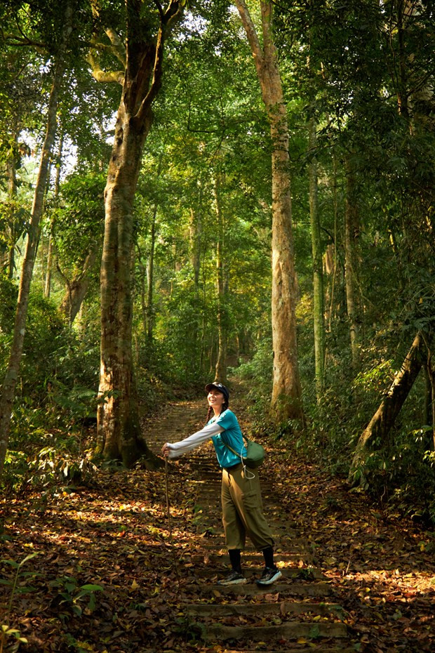 Tourism strong on recovery despite challenges ảnh 2