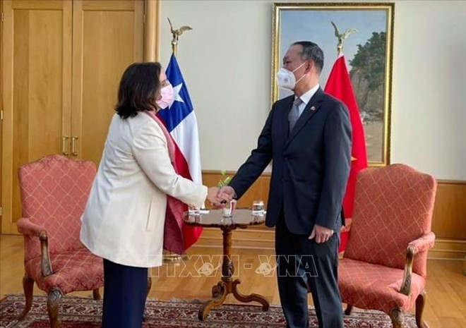 Vietnam - important partner of Chile in Southeast Asia: Chilean FM ảnh 1
