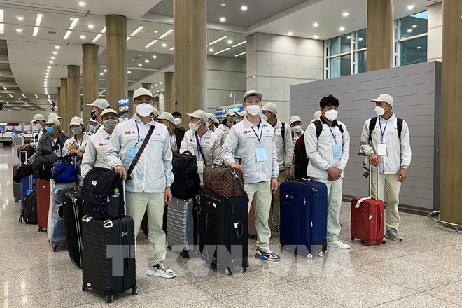 RoK reopens channel to receive seasonal workers from Vietnam ảnh 1