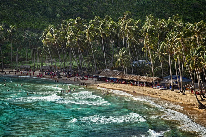 Vietnam strives to develop brand for sea-island tourism ảnh 2
