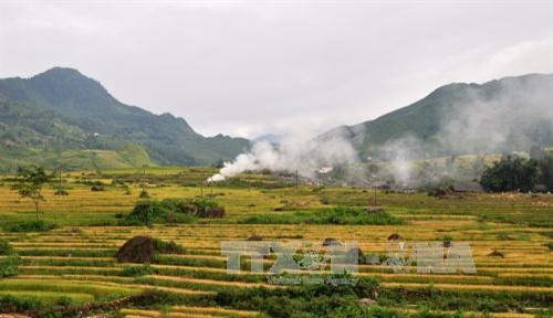 Sa Pa Summer festival to open in Lao Cai ảnh 1 Sa Pa Summer festival to open in Lao Cai ảnh 1