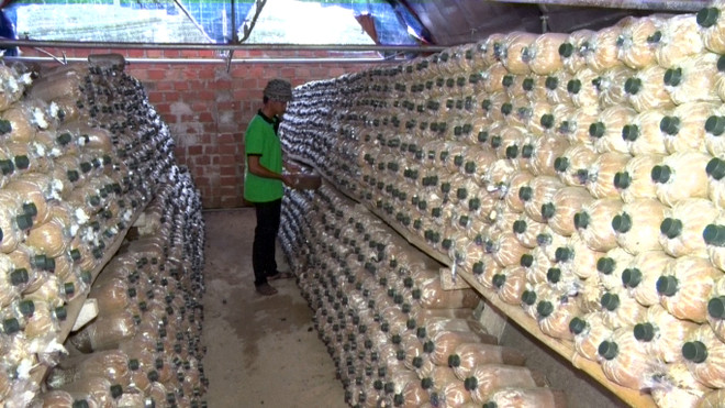 Food safety key for Vietnamese firms to succeed in foreign markets ảnh 1