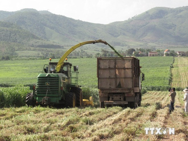 Phu Yen targets modern rural area building ảnh 1