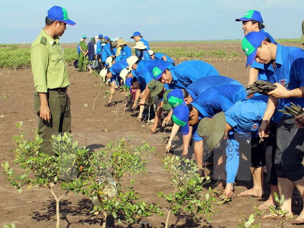  Regulatory framework for climate change programme discussed ảnh 1