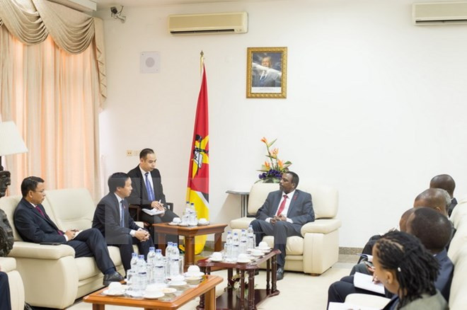 Vietnamese, Mozambican parliaments cement ties ảnh 1