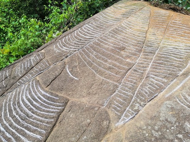 More ancient slabs with engravings of terraced fields found in Yen Bai ảnh 1