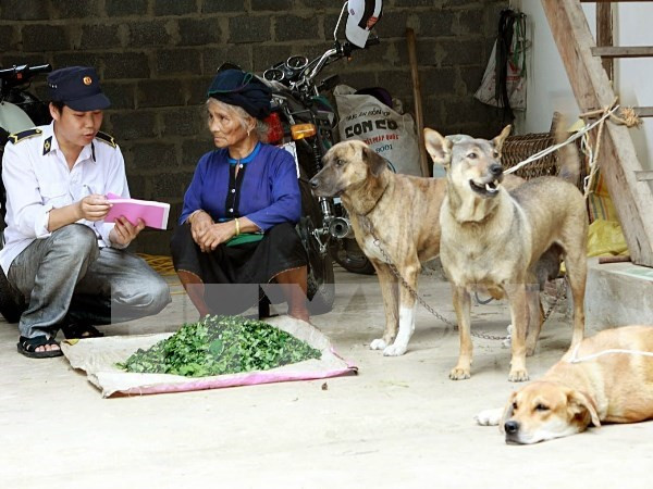 Vietnam responses to animal health and zoonoses ảnh 1