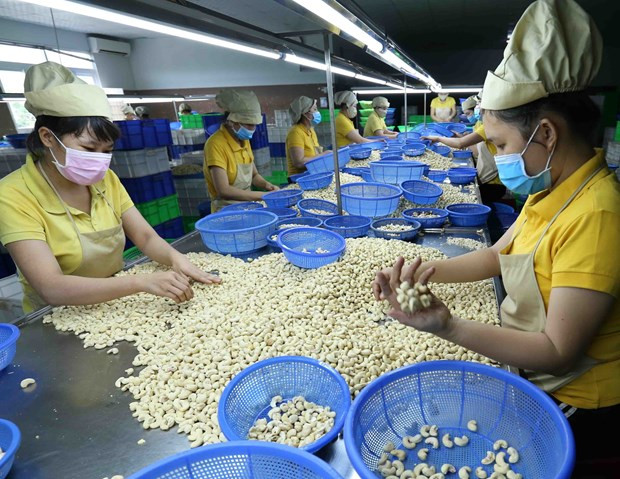 CPTPP helps boost Vietnam-Malaysia trade ties ảnh 1