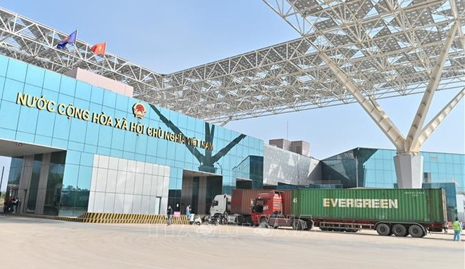 Domestic firms supported to boost exports to China ảnh 1