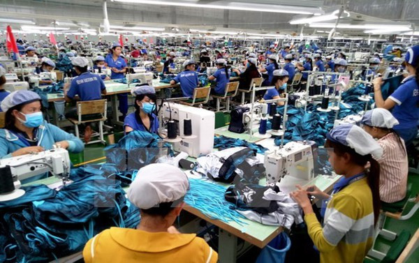 Ideas gathered for draft national programme on improving labour productivity ảnh 2