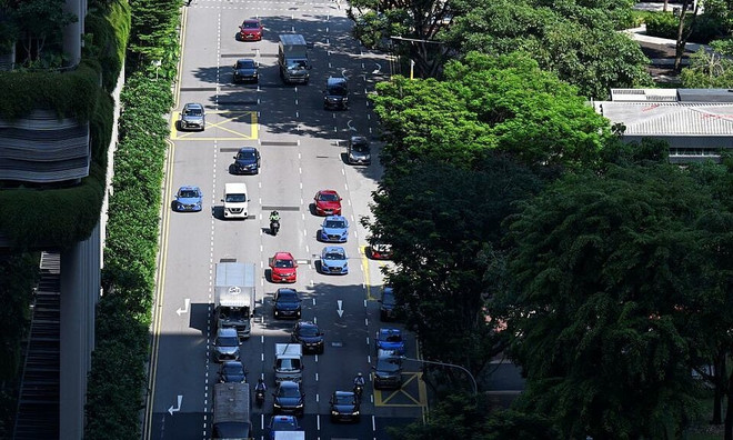 Singapore lowers emissions forecast in 2030 ảnh 1