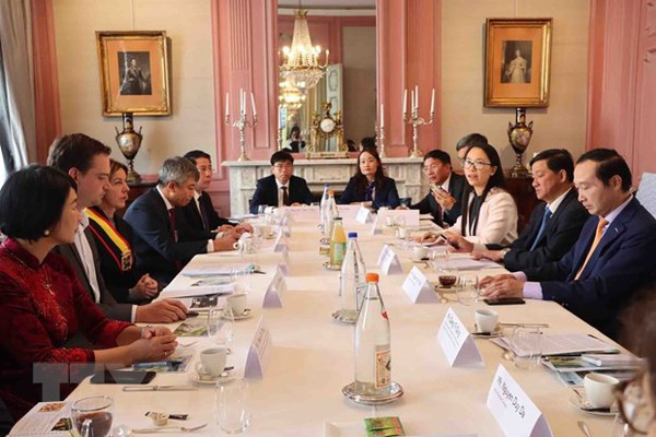 Lam Dong seeks stronger partnership with Belgian businesses, localities ảnh 1