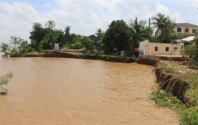 Dong Thap faces increasing erosion ảnh 1 Dong Thap faces increasing erosion ảnh 1
