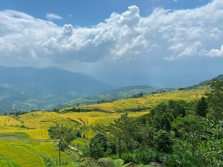 Quang Ninh: Binh Lieu yellow season festival to kick off this weekend ảnh 1
