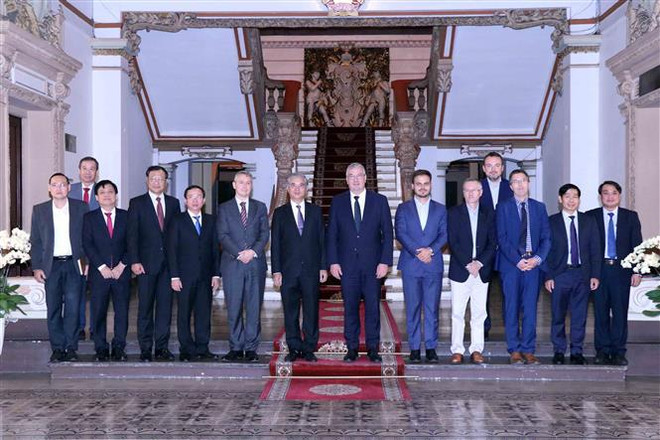 HCM City eyes stronger cooperation with Wallonie-Bruxelles ảnh 2