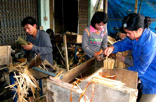  International agencies help Thanh Hoa develop “luong” bamboo ảnh 1