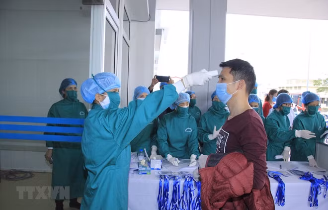 How labour safety is regulated amid pandemic ảnh 1